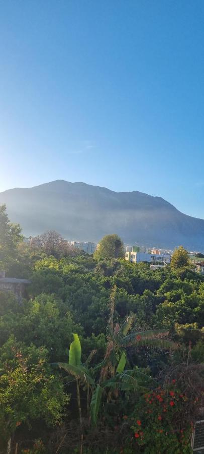 Sofia Daire Kalamata Dış mekan fotoğraf